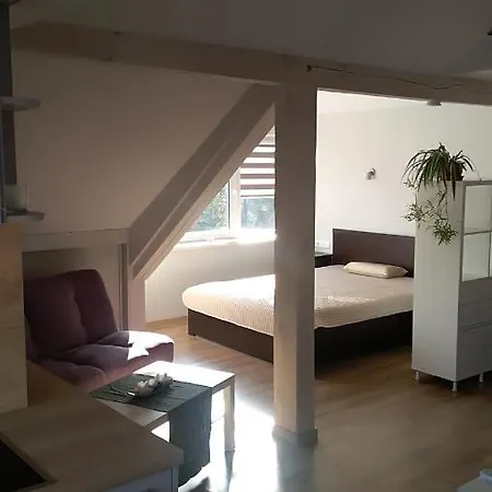 L&p Studio Apartment *